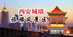 大屌强插尿哦哦哦啊啊啊啊免费观看中国陕西-西安城墙旅游风景区