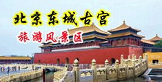 男男的鸡捅进男的屁股里视频网站中国北京-东城古宫旅游风景区